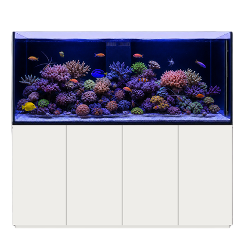 Reef Sea 200